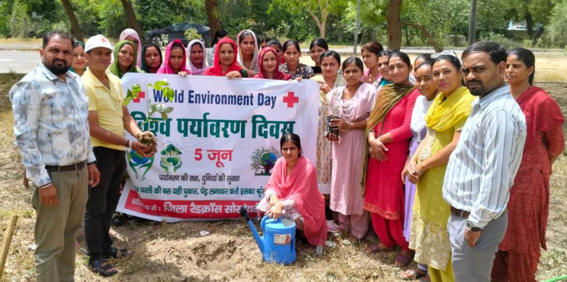 विश्व पर्यावरण दिवस पर पौधारोपण और जागरूकता कार्यक्रम आयोजित